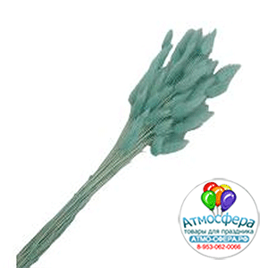 Сухоцветы "Лагурус", H55 см, набор (60 шт) Голубой