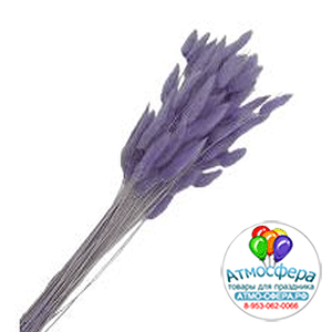 Сухоцветы "Лагурус", H55 см, набор (60 шт) Светло-фиолетовый
