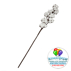 Сухоцветы "Хлопок", H60 см, набор (10 шт) Белый