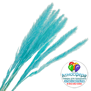 Трава пампасная, H60 см, набор (10 шт) Голубой