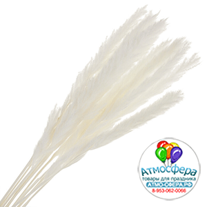 Трава пампасная, H70 см, набор (10 шт) Белый