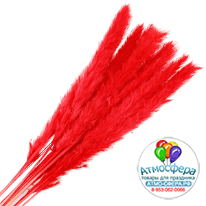 Трава пампасная, H70 см, набор (10 шт) Красный