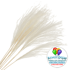 Сухоцветы "Ковыль", H60 см, набор (10 шт) Белый