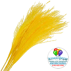 Сухоцветы "Ковыль", H60 см, набор (10 шт) Желтый