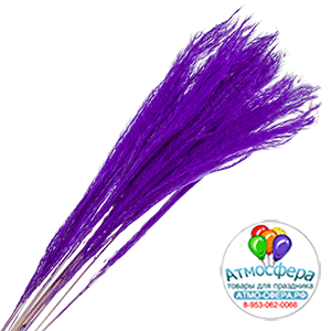 Сухоцветы "Ковыль", H60 см, набор (10 шт) Лиловый