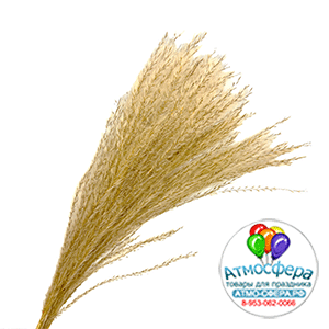 Сухоцветы "Ковыль", H60 см, набор (10 шт) Натуральный